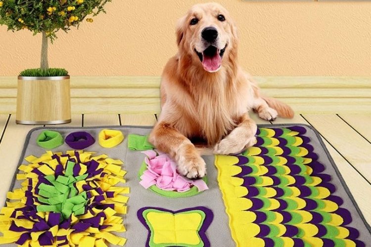 Enseña a tu perro a utilizar la alfombra olfativa de forma correcta y a no morderla y romperla